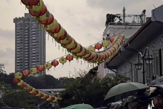 SG50